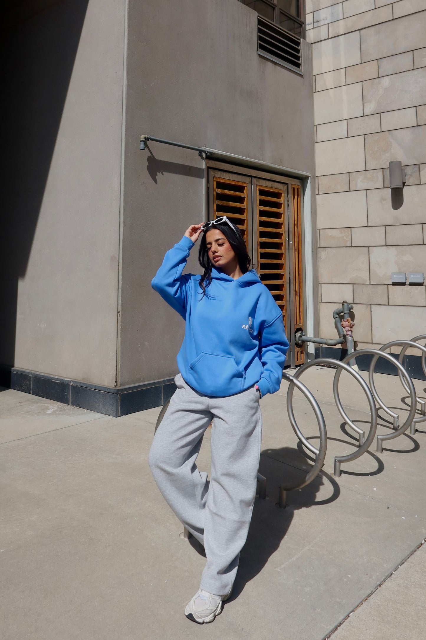 Punjab Sparrow Oversized Hoodie